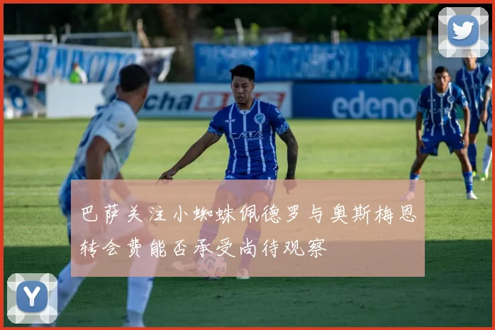 巴萨关注小蜘蛛佩德罗与奥斯梅恩转会费能否承受尚待观察
